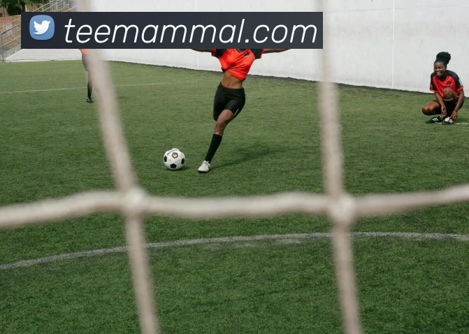 奖项3